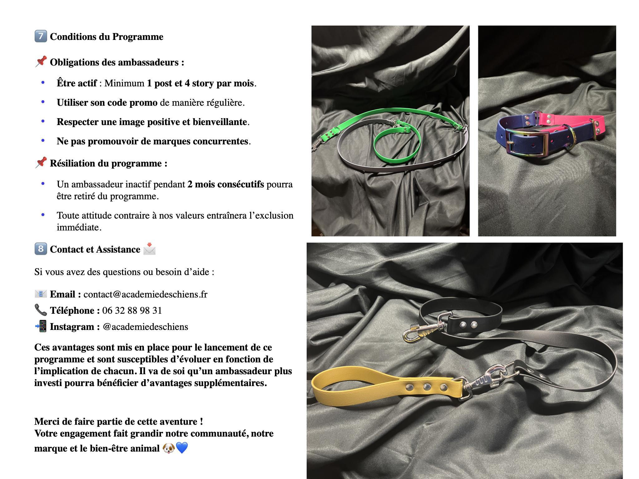 06-Guide de l'Ambassadeur