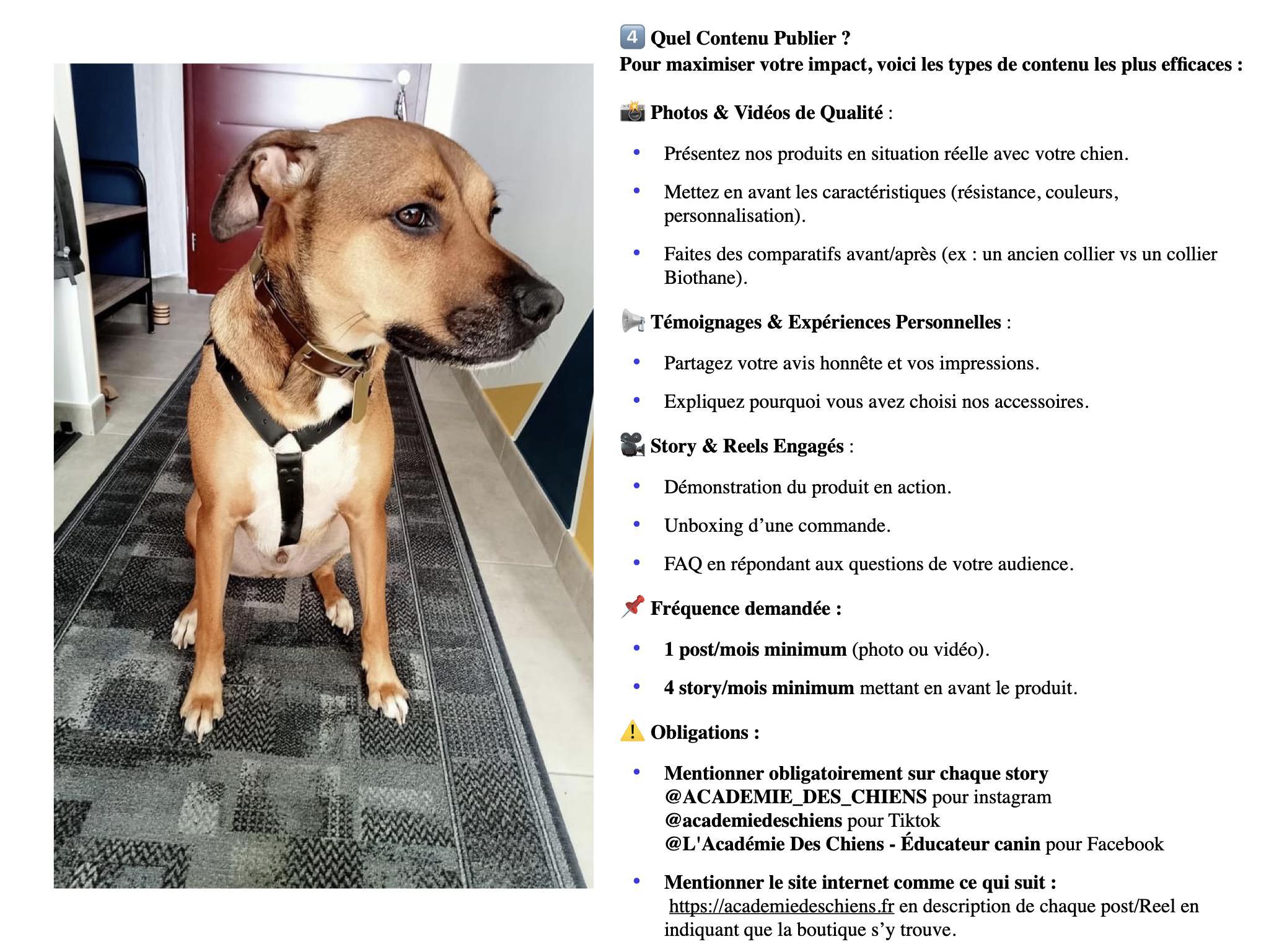 04-Guide de l'Ambassadeur
