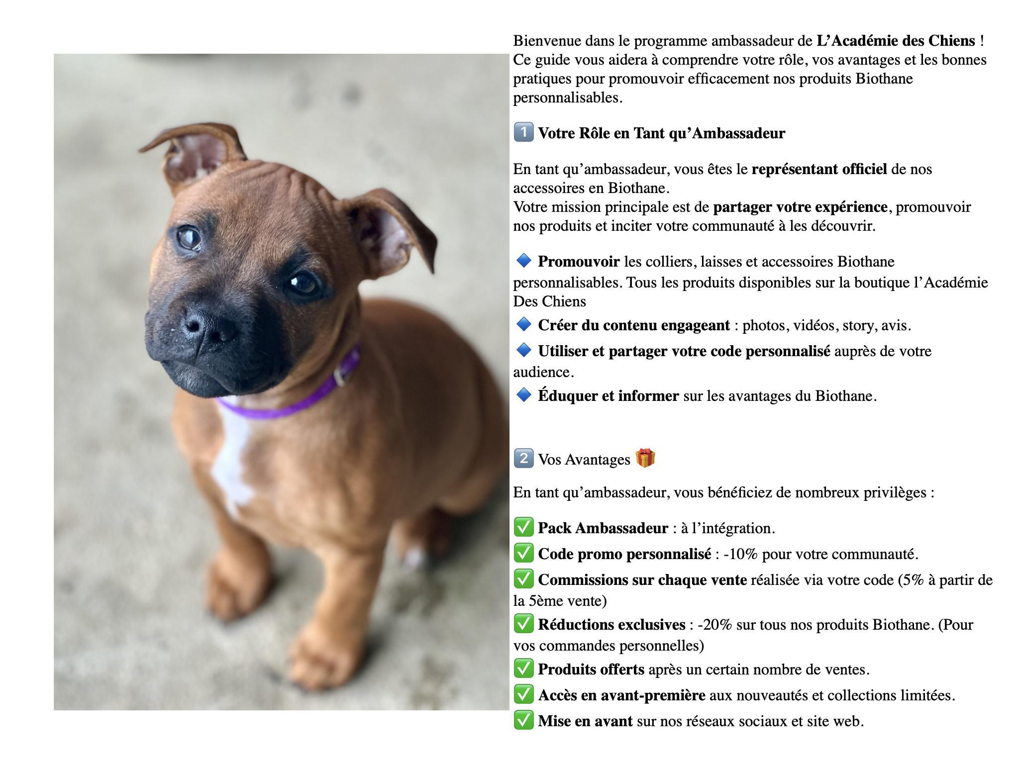 02-Guide de l'Ambassadeur