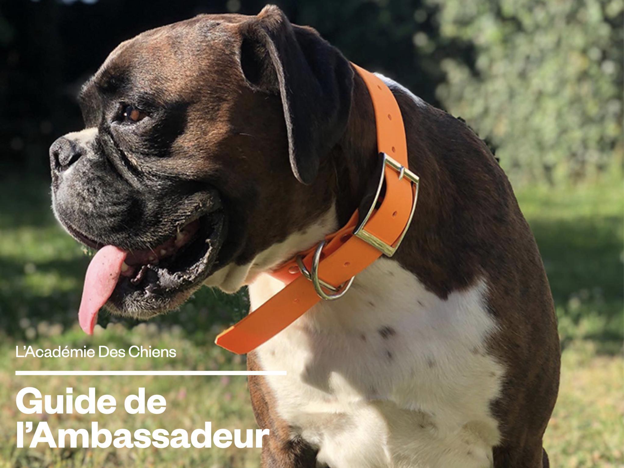 01-Guide de l'Ambassadeur