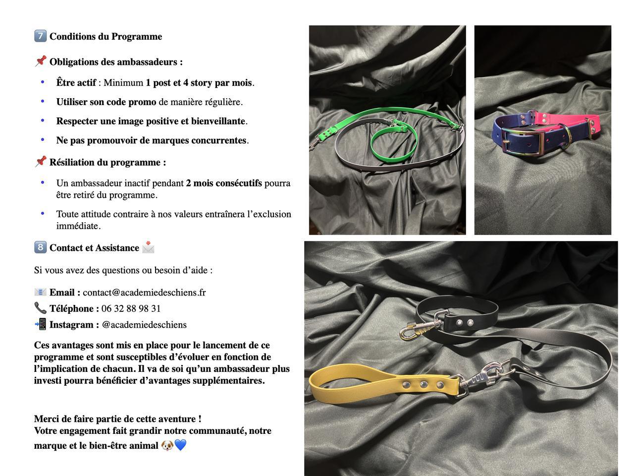 06-Guide de l'Ambassadeur