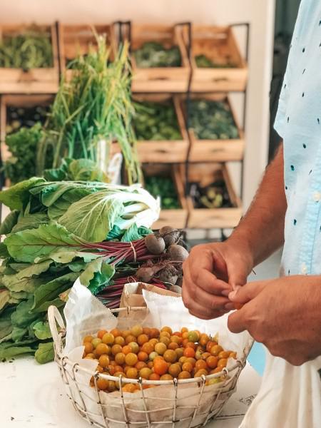 CURAÇAO, YOUR NEXT CARIBBEAN WELLNESS DESTINATION PART 2