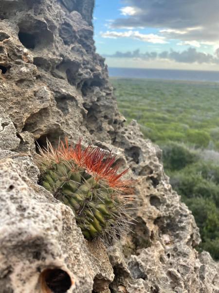 CURACAO’S NORTHERN COUNTRY SIDE LIKE YOU’VE NEVER SEEN BEFORE