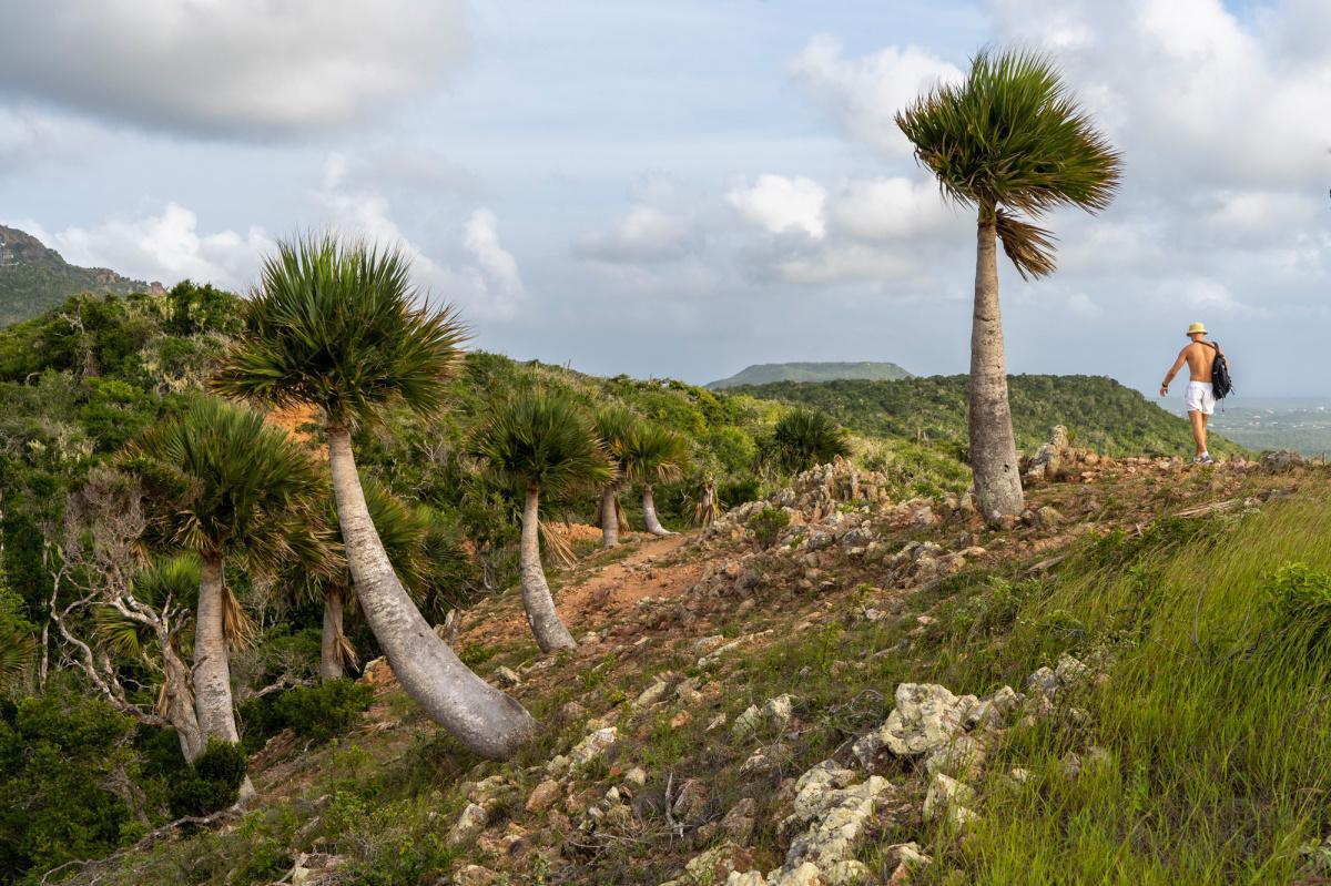 Curaçao proyecta 47.000 llegadas de colombianos este 2025