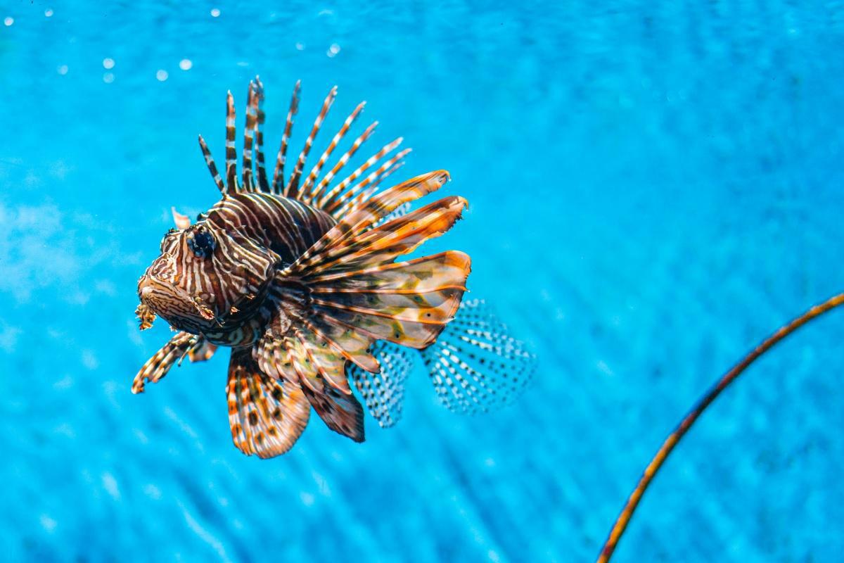 6 AMAZING WAYS TO EXPERIENCE SUSTAINABLE LUXURY TRAVEL IN CURAÇAO