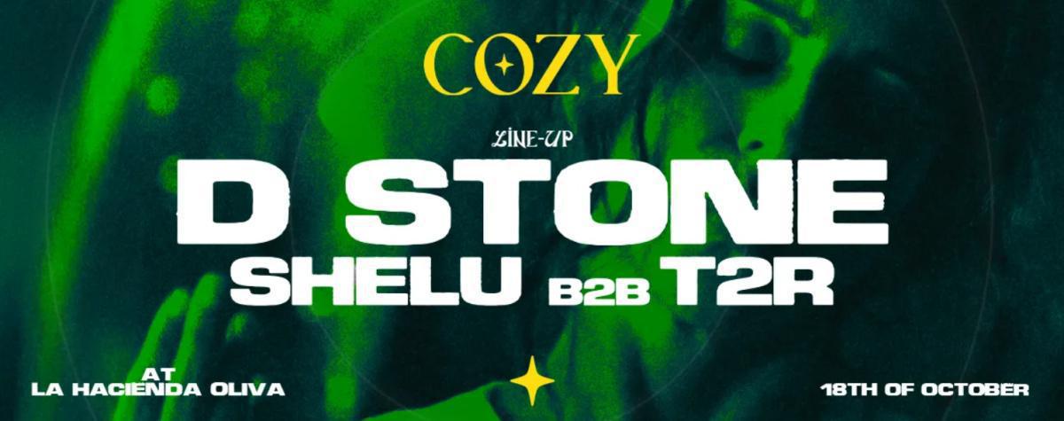 COZY X D STONE