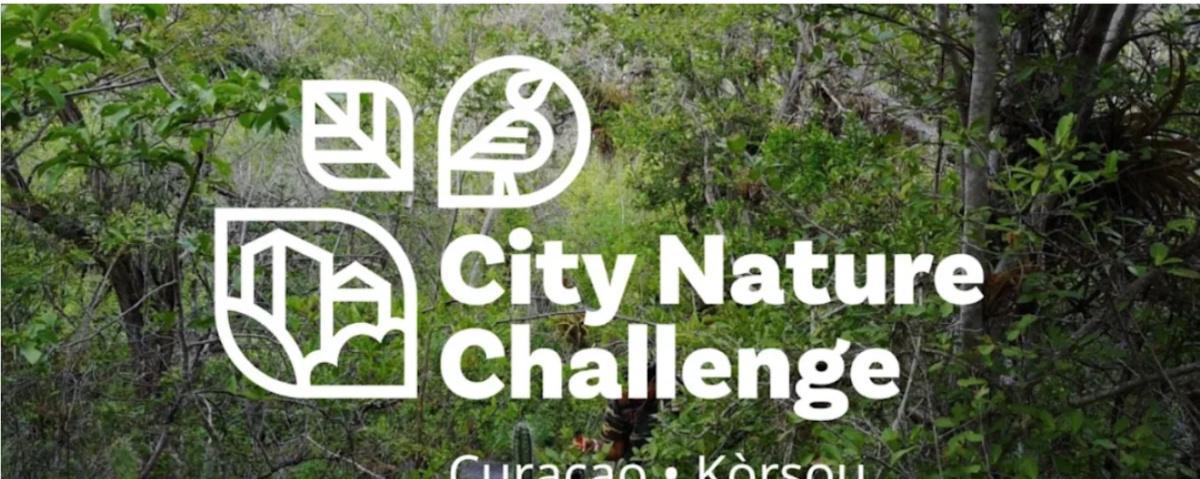 CITY NATURE CHALLENGE MASTERCLASSES