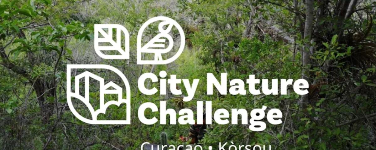 CITY NATURE CHALLENGE CURACAO 2026