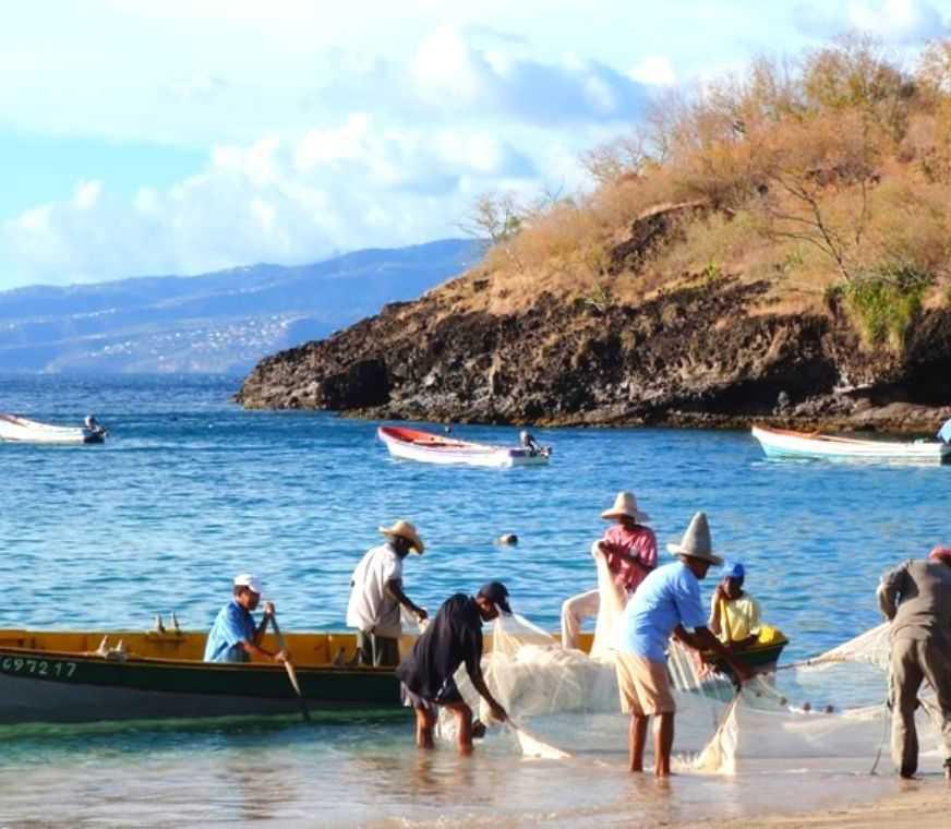 MARCHÉ AUX POISSONS