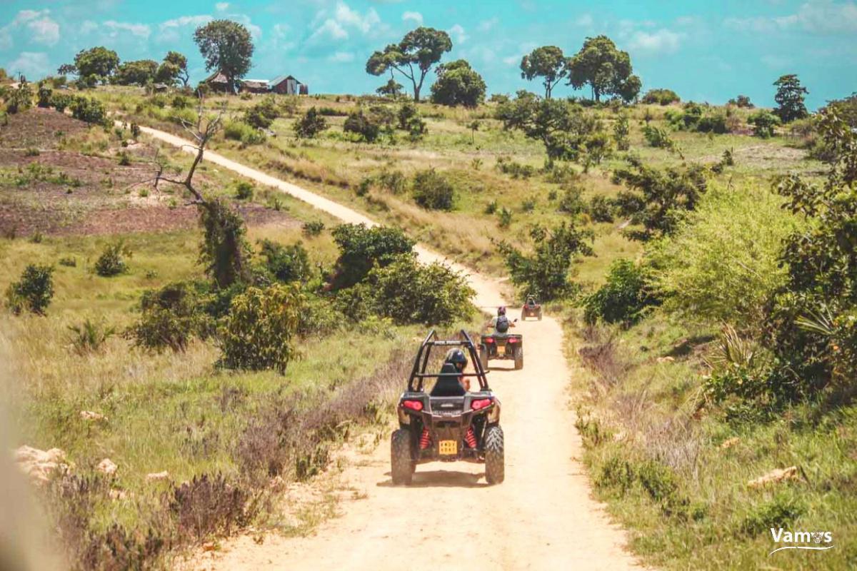 Diani Quad Bikes