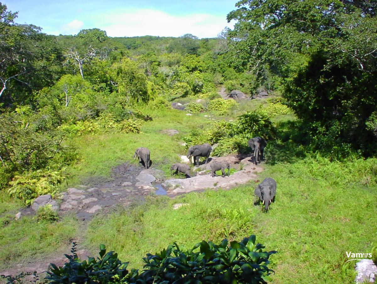 Visit Shimba Hills National Reserve