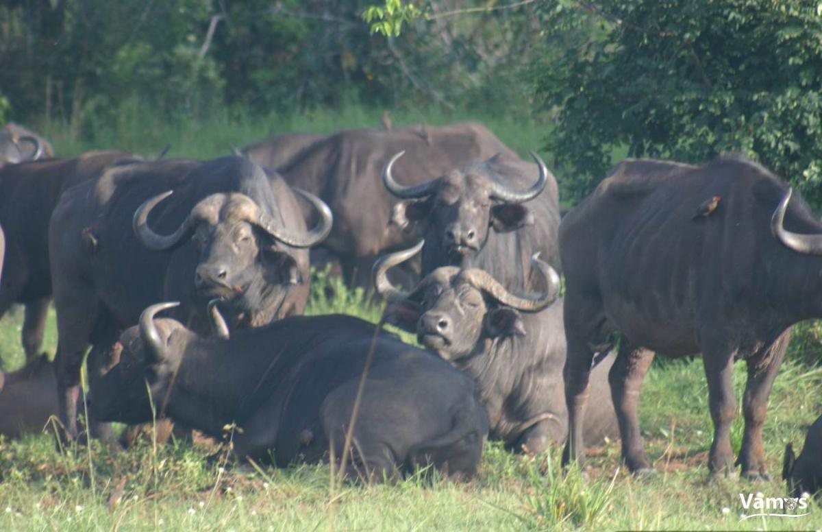 Visit Shimba Hills National Reserve