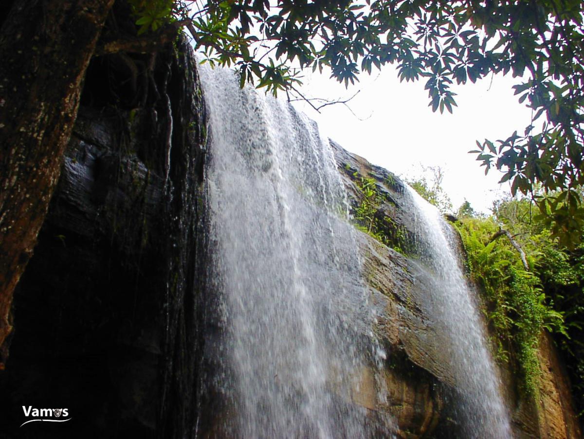 Visit Shimba Hills National Reserve