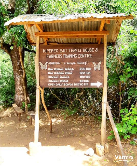 Kipepeo Butterfly House