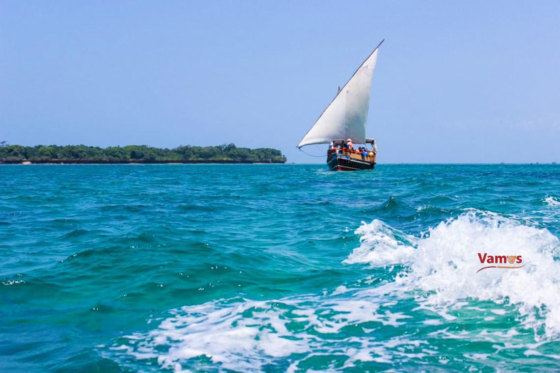 Discover Wasini Island's Magic: Dolphin Spotting Day Trips from 2459 PP!