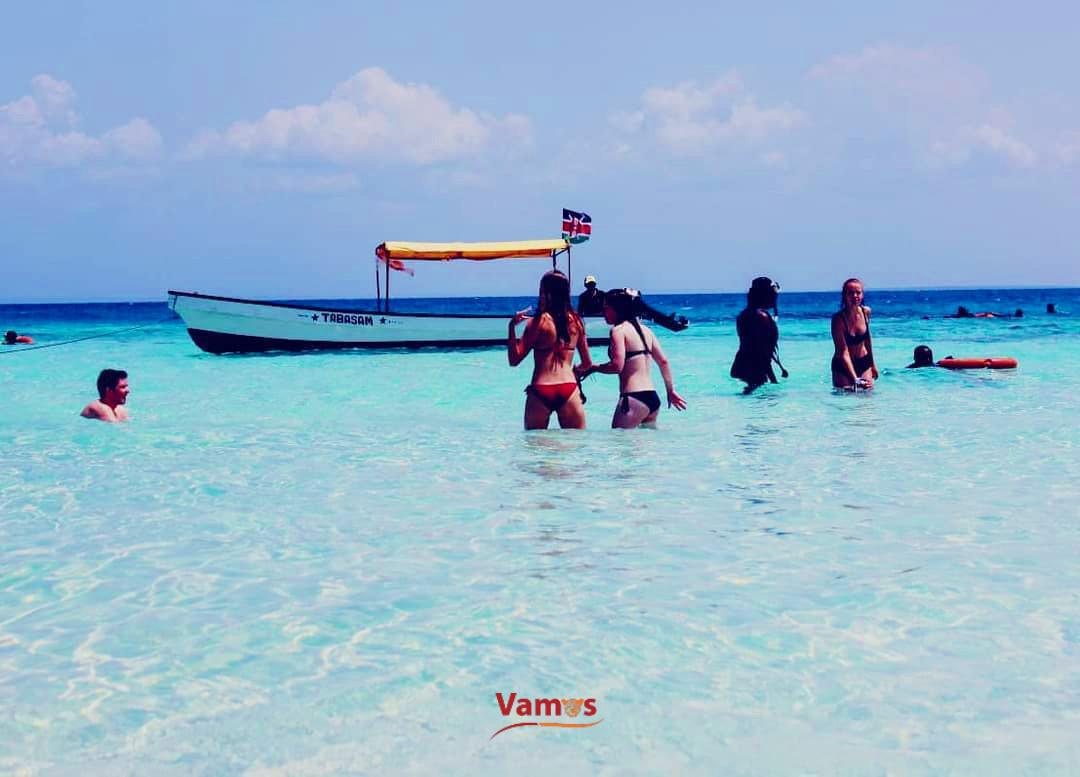 Discover Wasini Island's Magic: Dolphin Spotting Day Trips from 2459 PP!