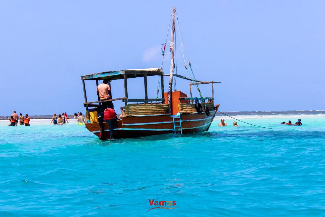 Discover Wasini Island's Magic: Dolphin Spotting Day Trips from 2459 PP!