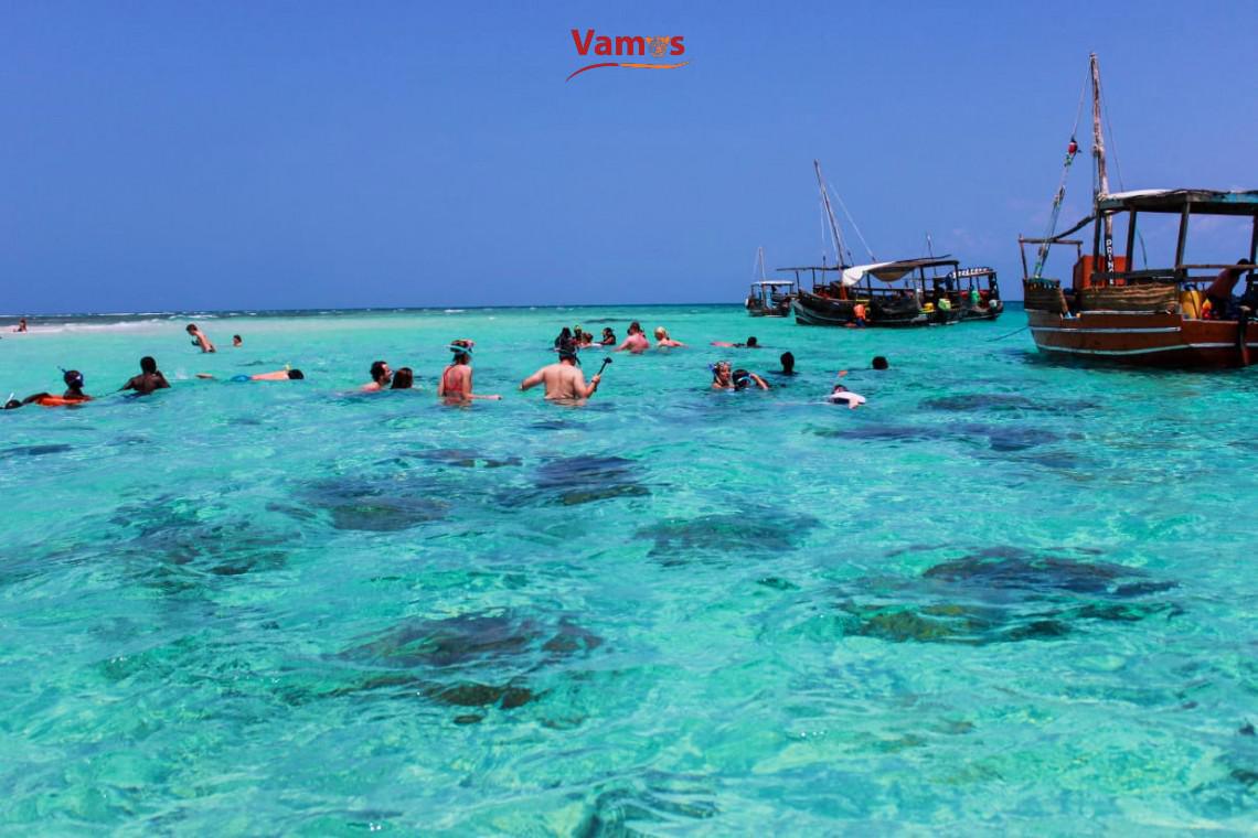 Discover Wasini Island's Magic: Dolphin Spotting Day Trips from 2459 PP!