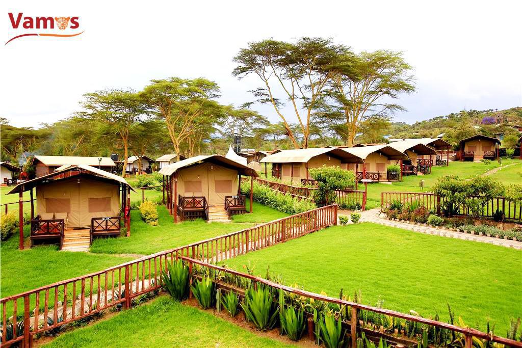 Lakefront Camping & Swimming Adventure in Naivasha from 1699 Per Person