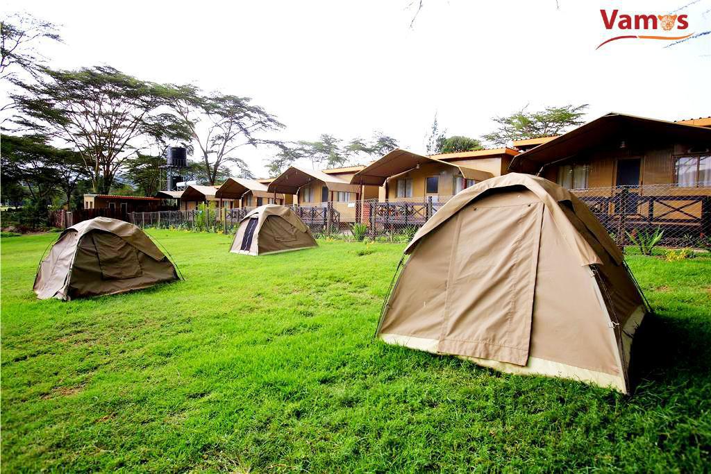 Lakefront Camping & Swimming Adventure in Naivasha from 1699 Per Person