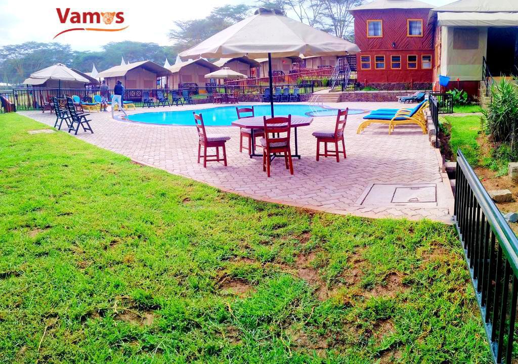 Lakefront Camping & Swimming Adventure in Naivasha from 1699 Per Person