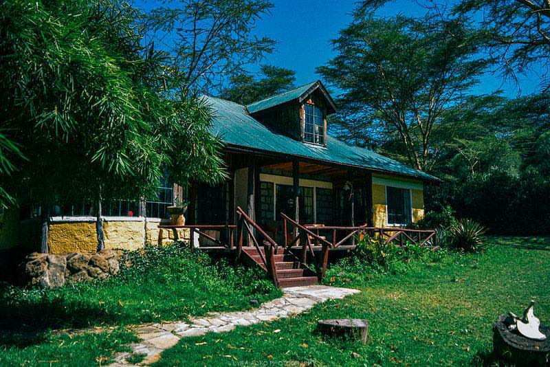 Cottage Next to Lake Naivasha from 2799 Per person,Zebras on site!