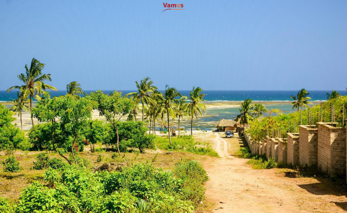 Ngoloko Fisherfolks - Experience Culture and amazing Grilled Fish and more