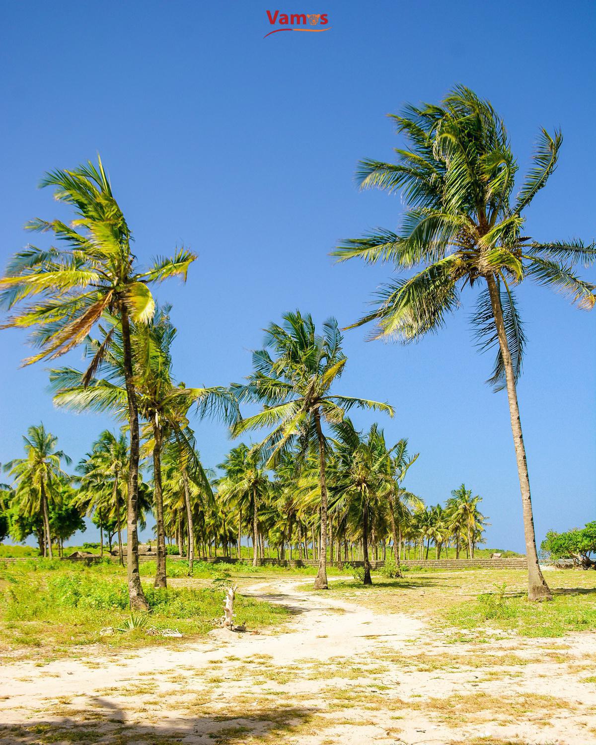 Ngoloko Fisherfolks - Experience Culture and amazing Grilled Fish and more