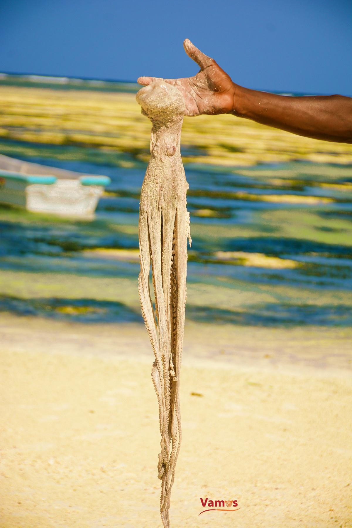 Ngoloko Fisherfolks - Experience Culture and amazing Grilled Fish and more