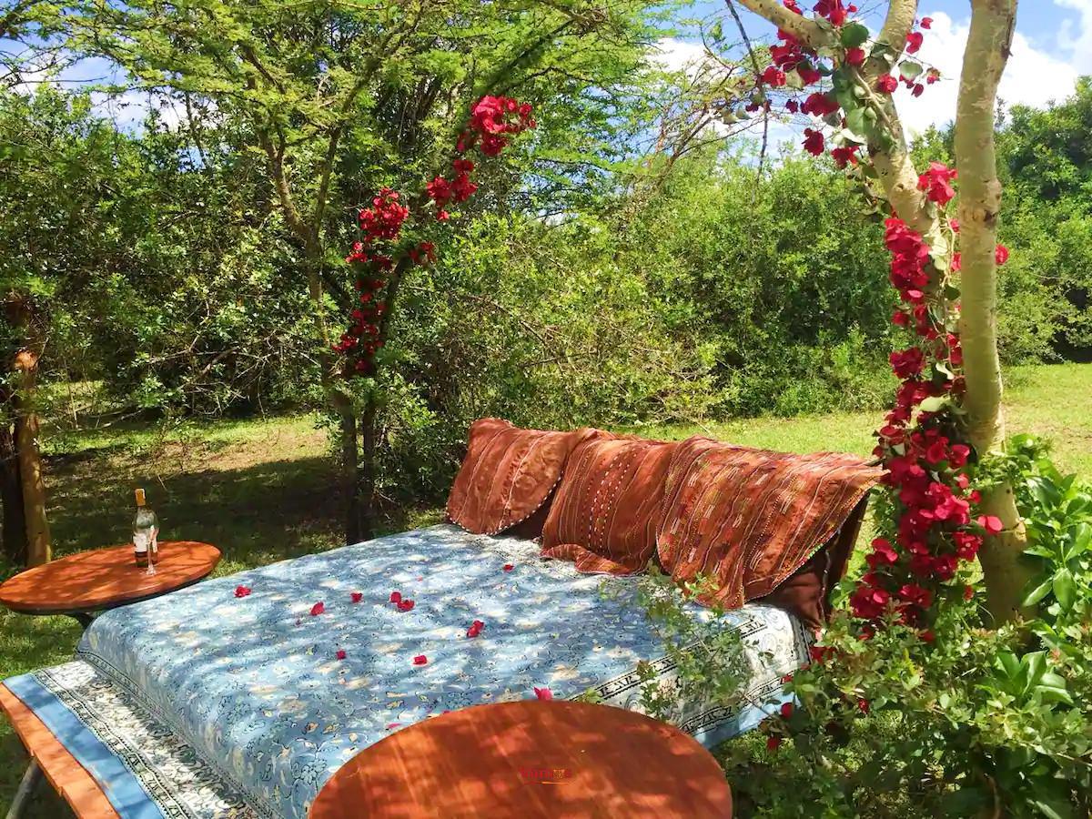 Modern 4-Bedroom Nakuru Retreat with Pool from 3979 Per Person!