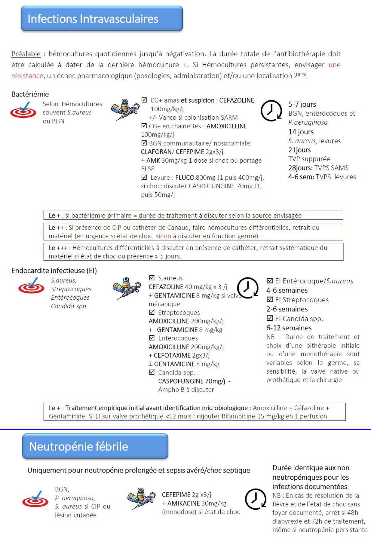 Antibiothérapie