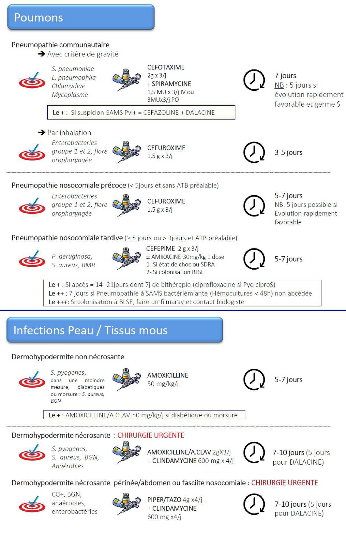 Antibiothérapie