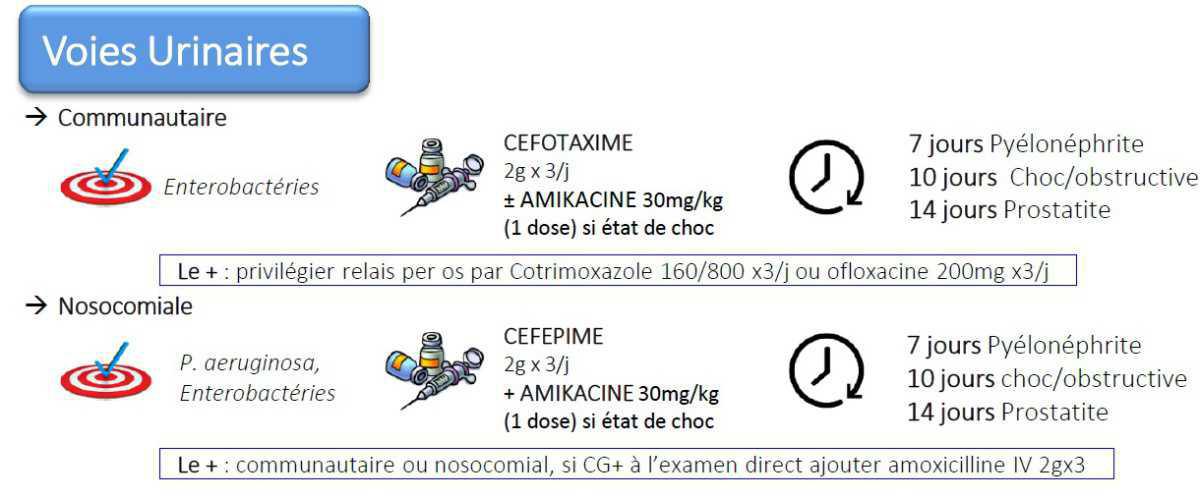 Antibiothérapie