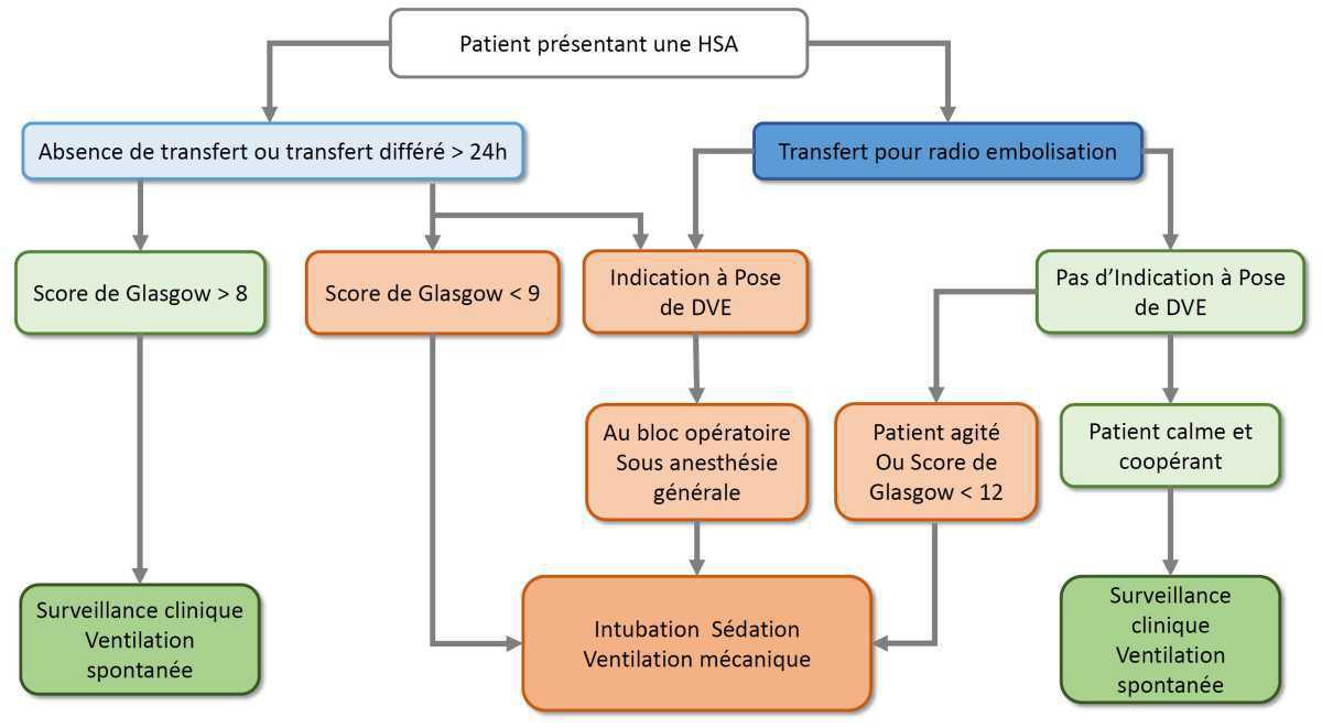 HSA