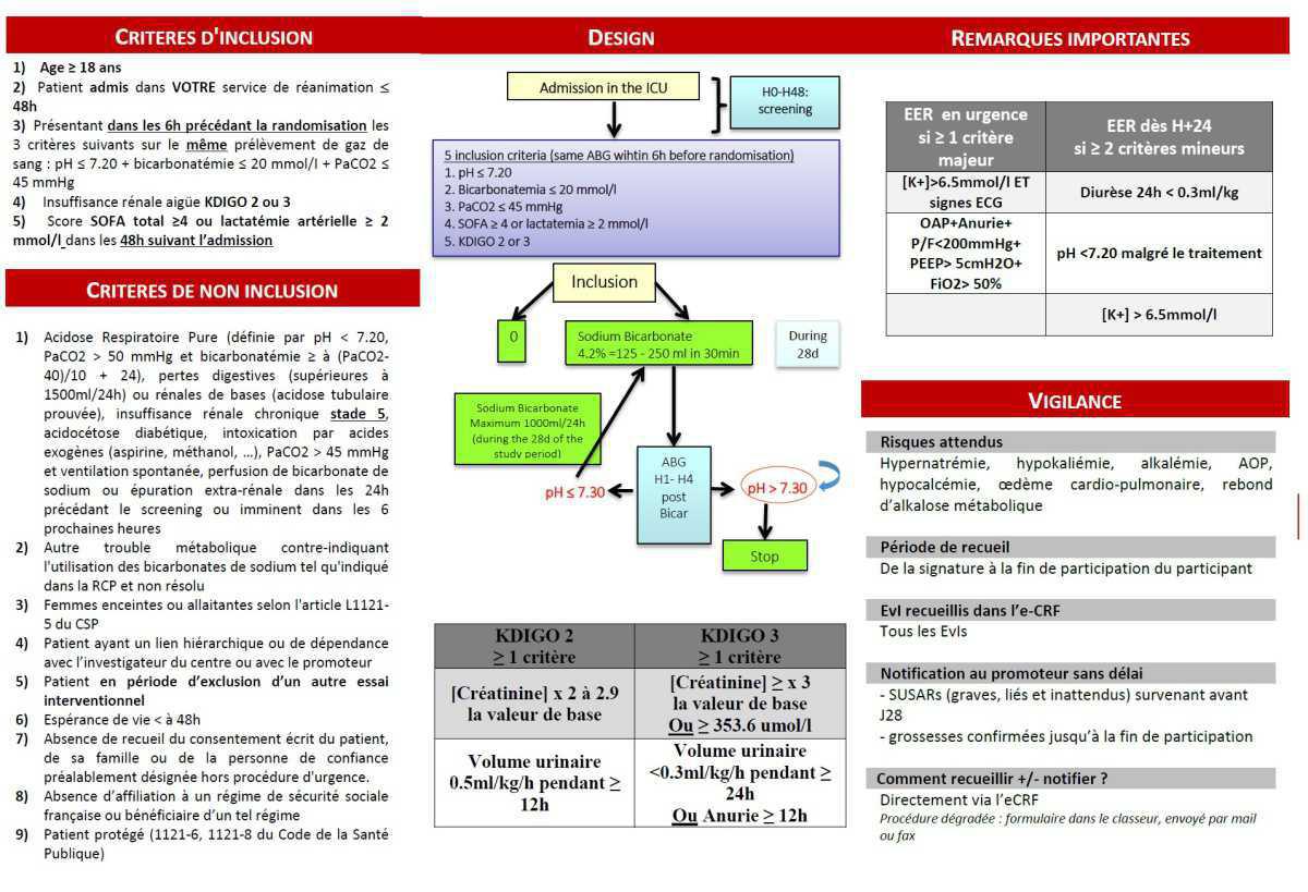 BICARICU synthèse