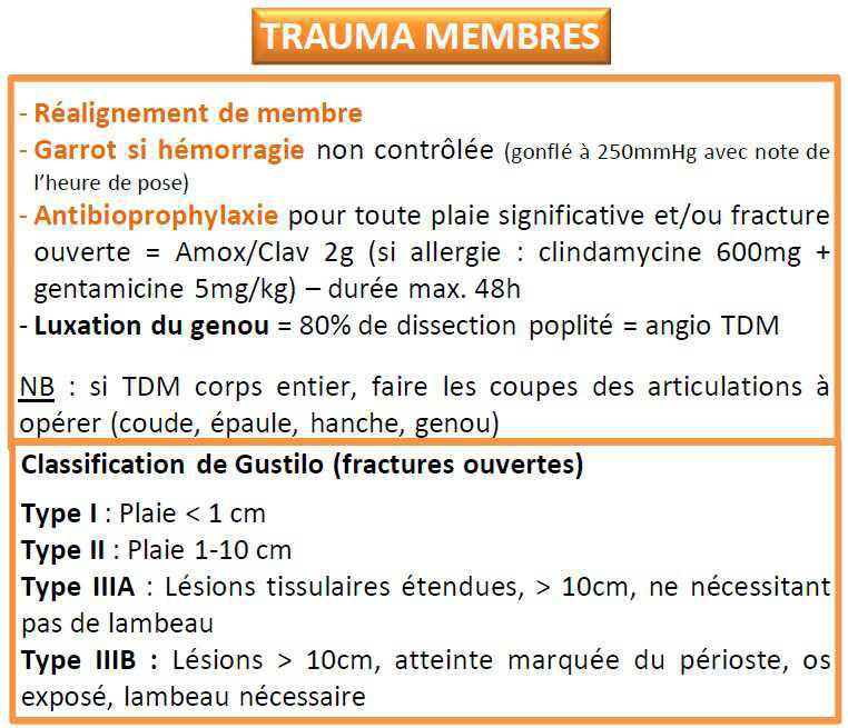 Traumatisé sévère (version courte)