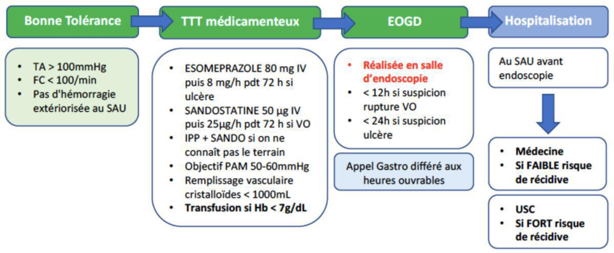 Hémorragie Digestive