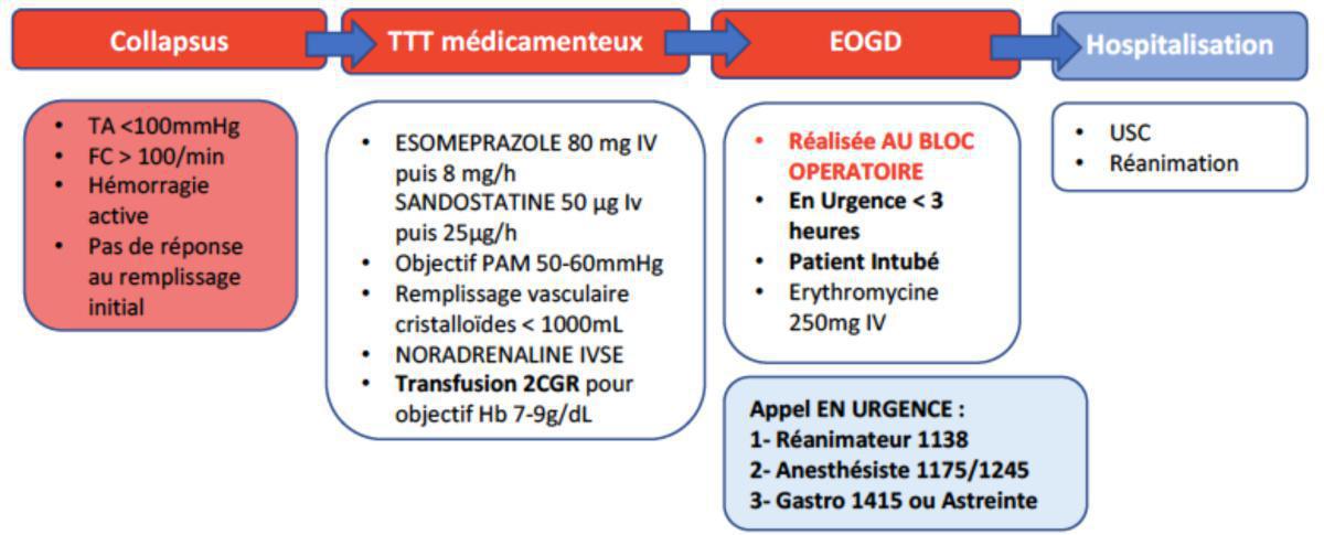Hémorragie Digestive