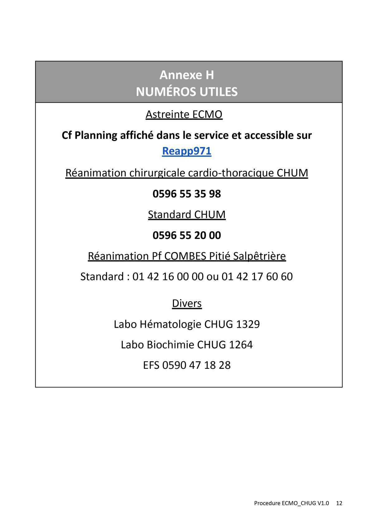 Procédure ECMO au CHUG