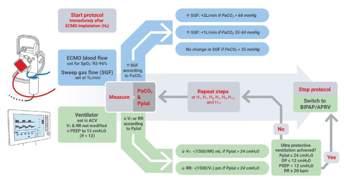 Ajustement PaCO2 démarrage ECMO VV