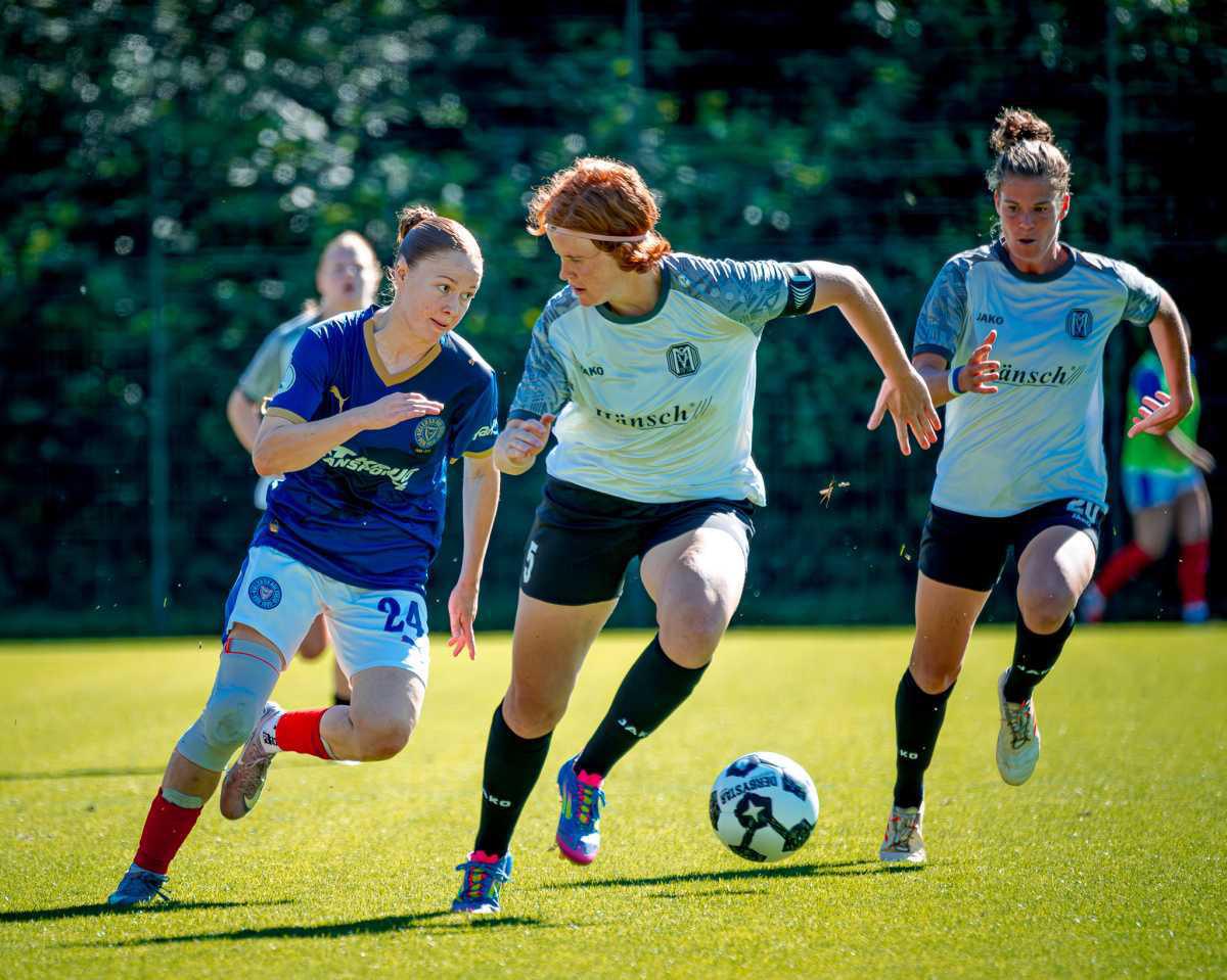 Geduld zahlt sich aus: SV Meppen siegt spät in Kiel Geduld zahlt sich aus: SV Meppen siegt spät in Kiel