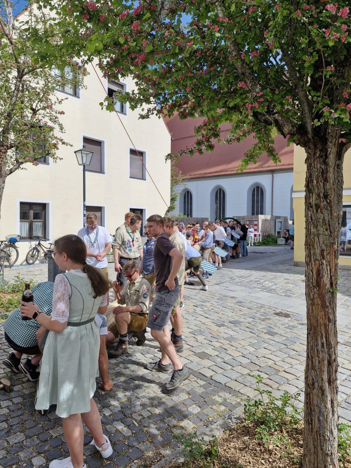 Oh Mai, was für ein Baum! Oh Mai, was für ein Baum!