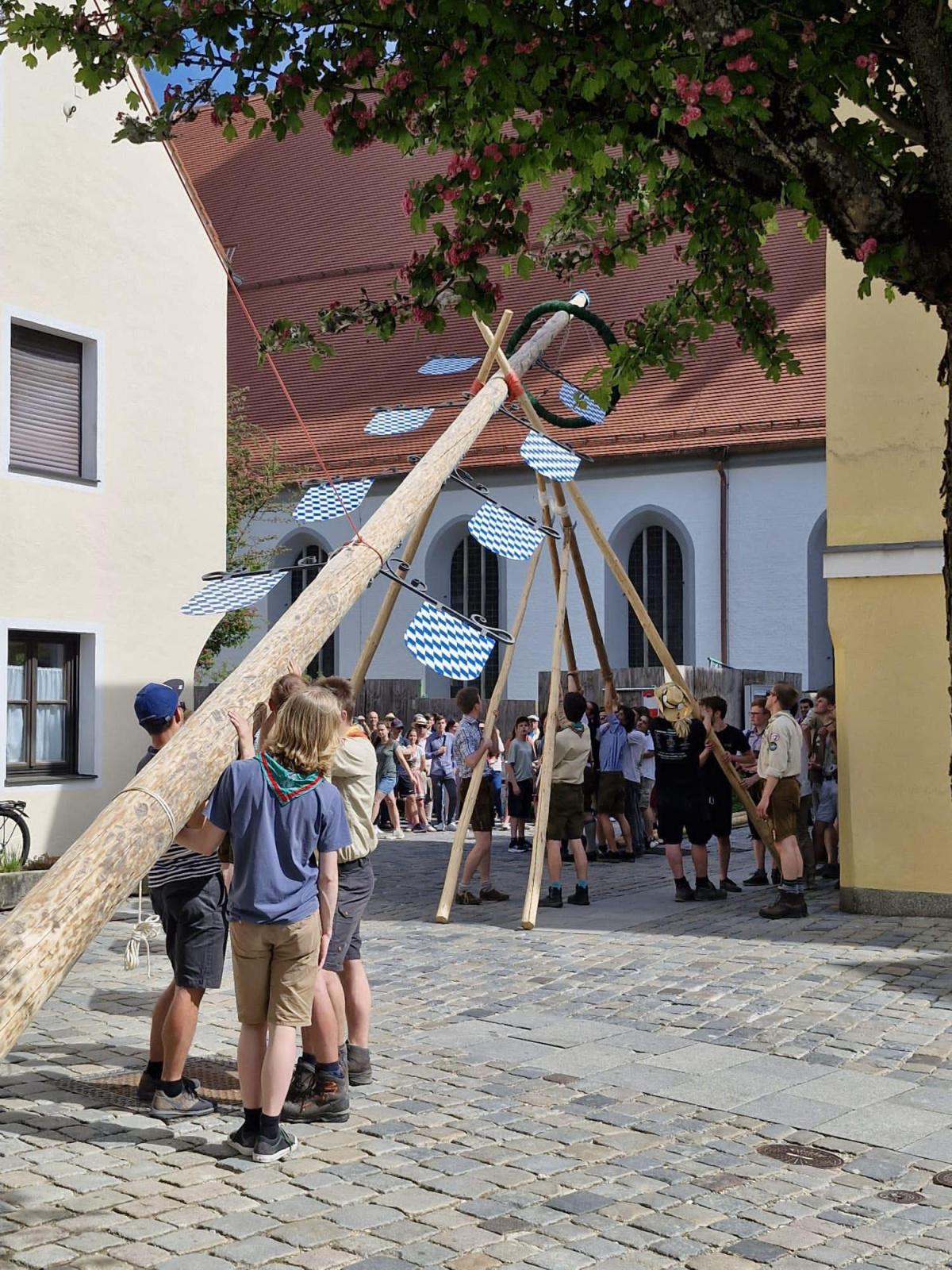 Oh Mai, was für ein Baum!