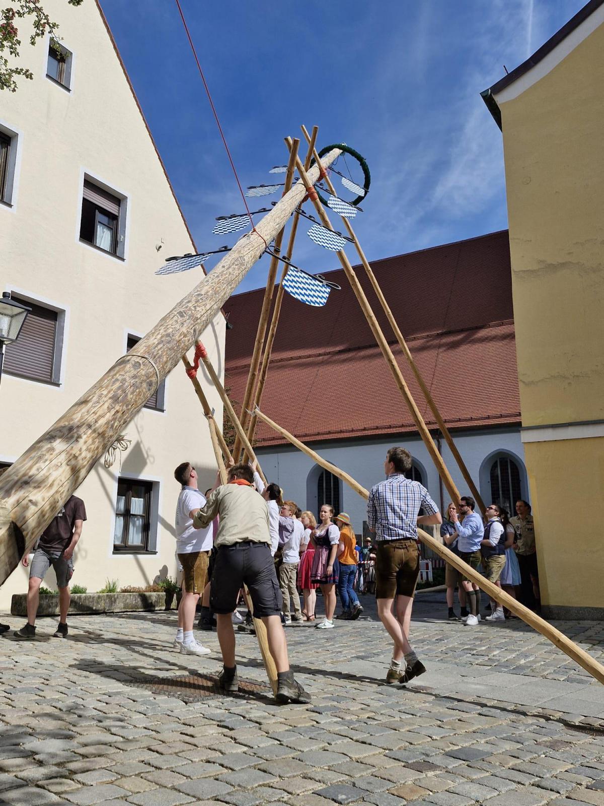 Oh Mai, was für ein Baum! Oh Mai, was für ein Baum!