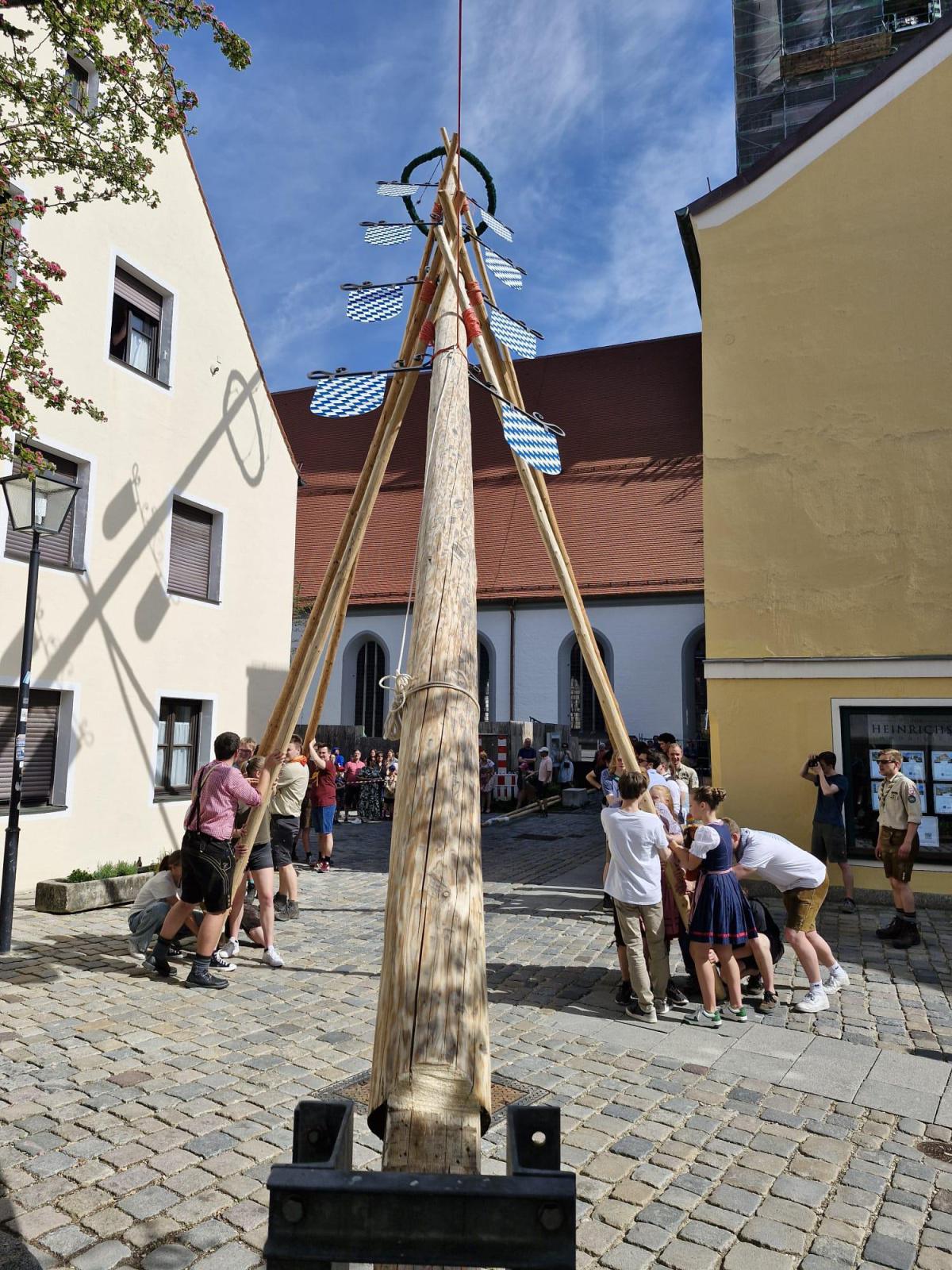 Oh Mai, was für ein Baum! Oh Mai, was für ein Baum!