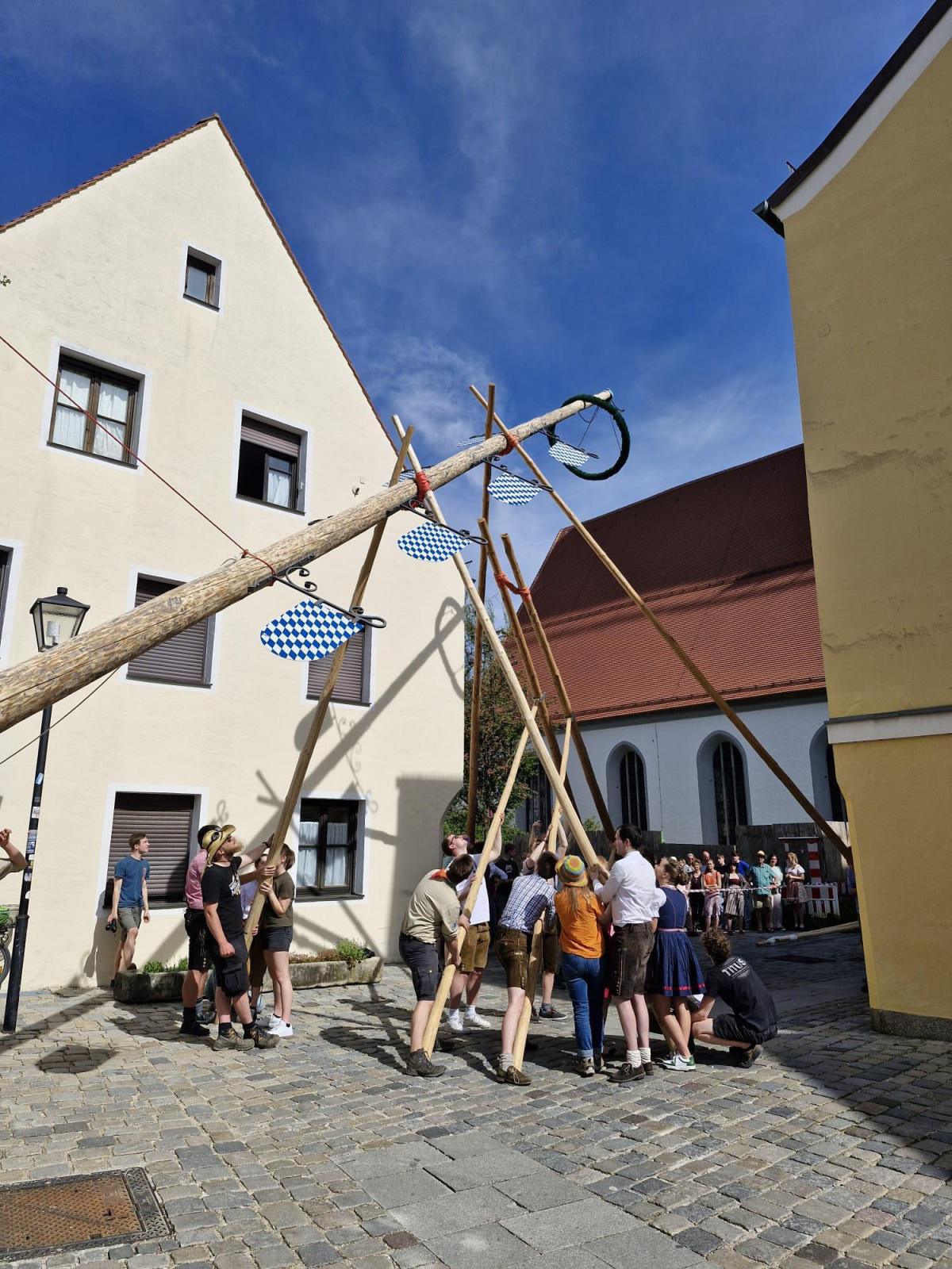 Oh Mai, was für ein Baum! Oh Mai, was für ein Baum!