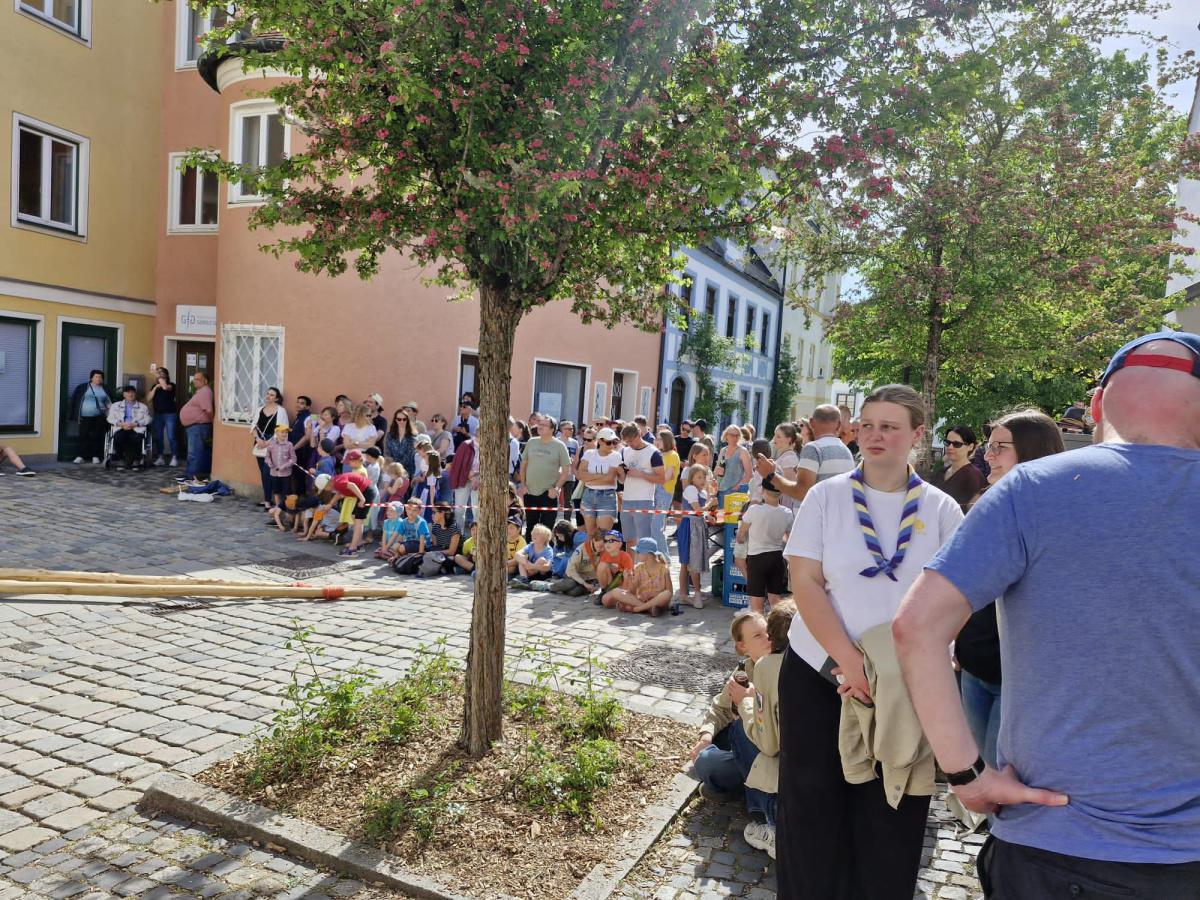 Oh Mai, was für ein Baum! Oh Mai, was für ein Baum!