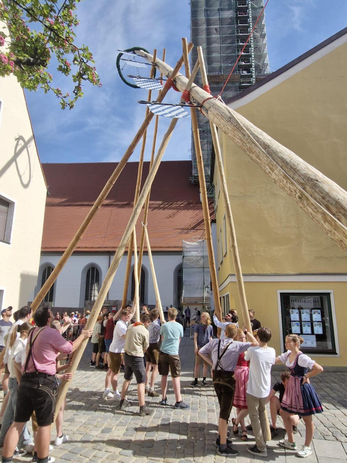 Oh Mai, was für ein Baum! Oh Mai, was für ein Baum!