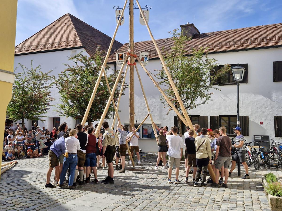 Oh Mai, was für ein Baum! Oh Mai, was für ein Baum!