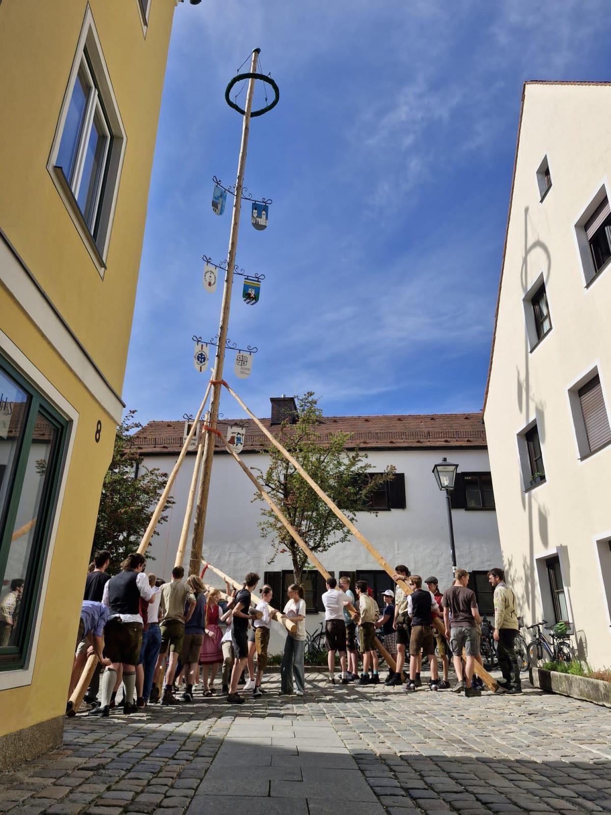 Oh Mai, was für ein Baum! Oh Mai, was für ein Baum!